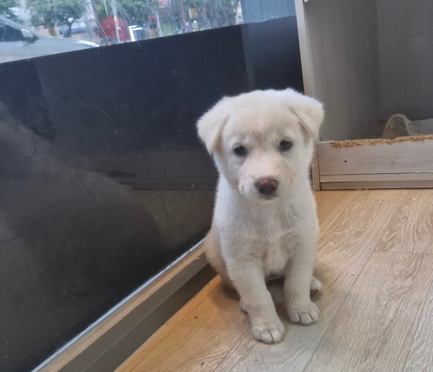 경상남도 사천시 000114 구조 사진