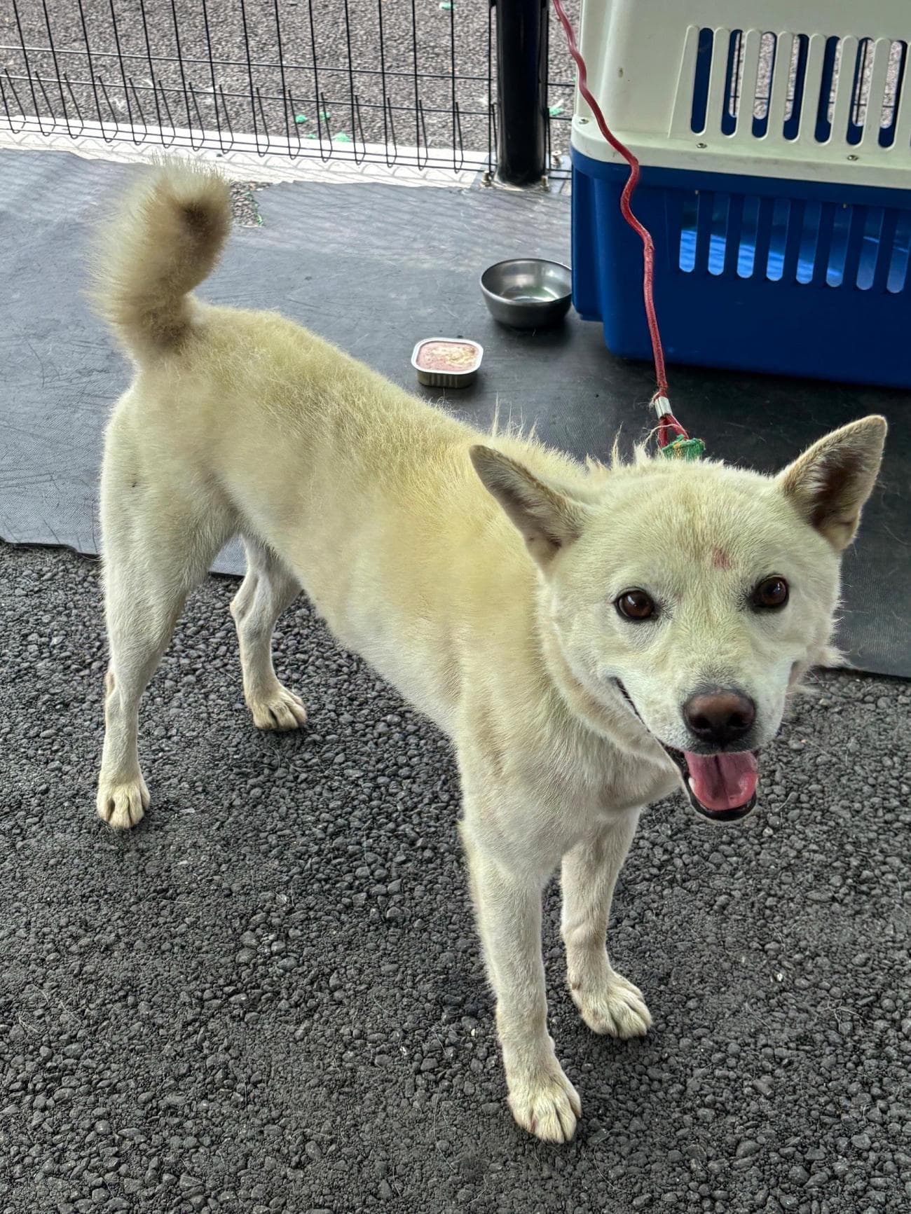 000114