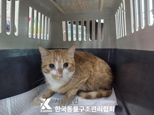 서울특별시 양주시 000200 구조 사진