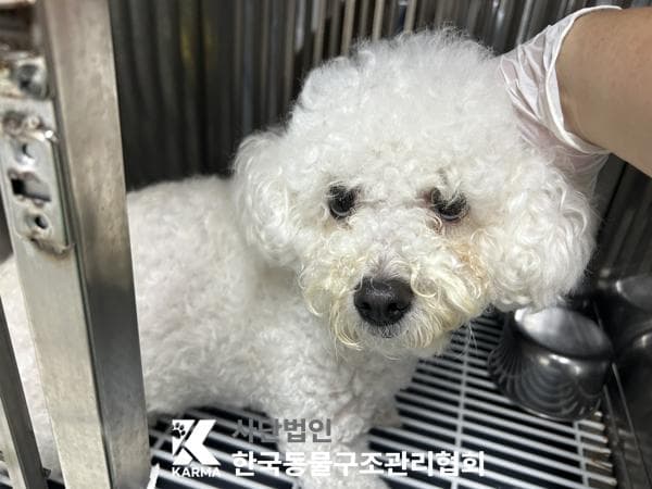 경기도 양주시 000018 구조 사진
