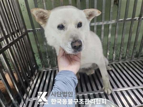 경기도 양주시 000114 구조 사진