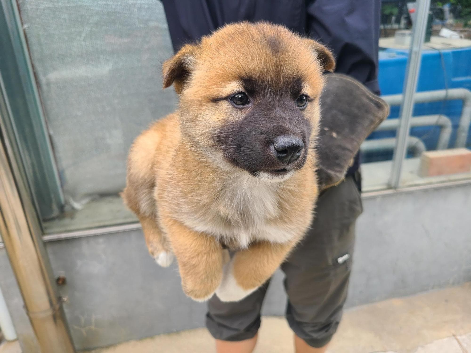경상남도 양산시 000114 구조 사진