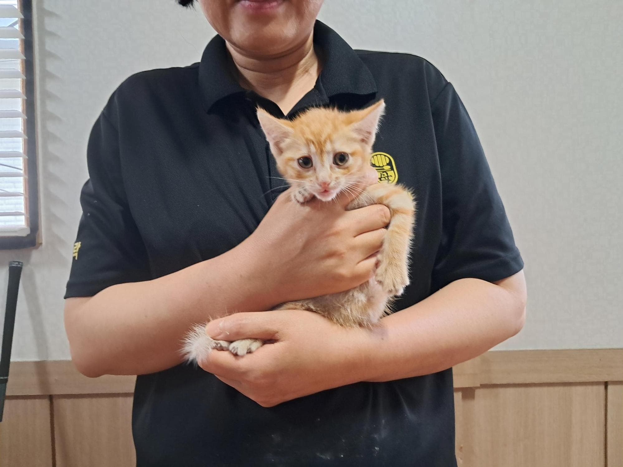 인천광역시 서구 000200 구조 사진