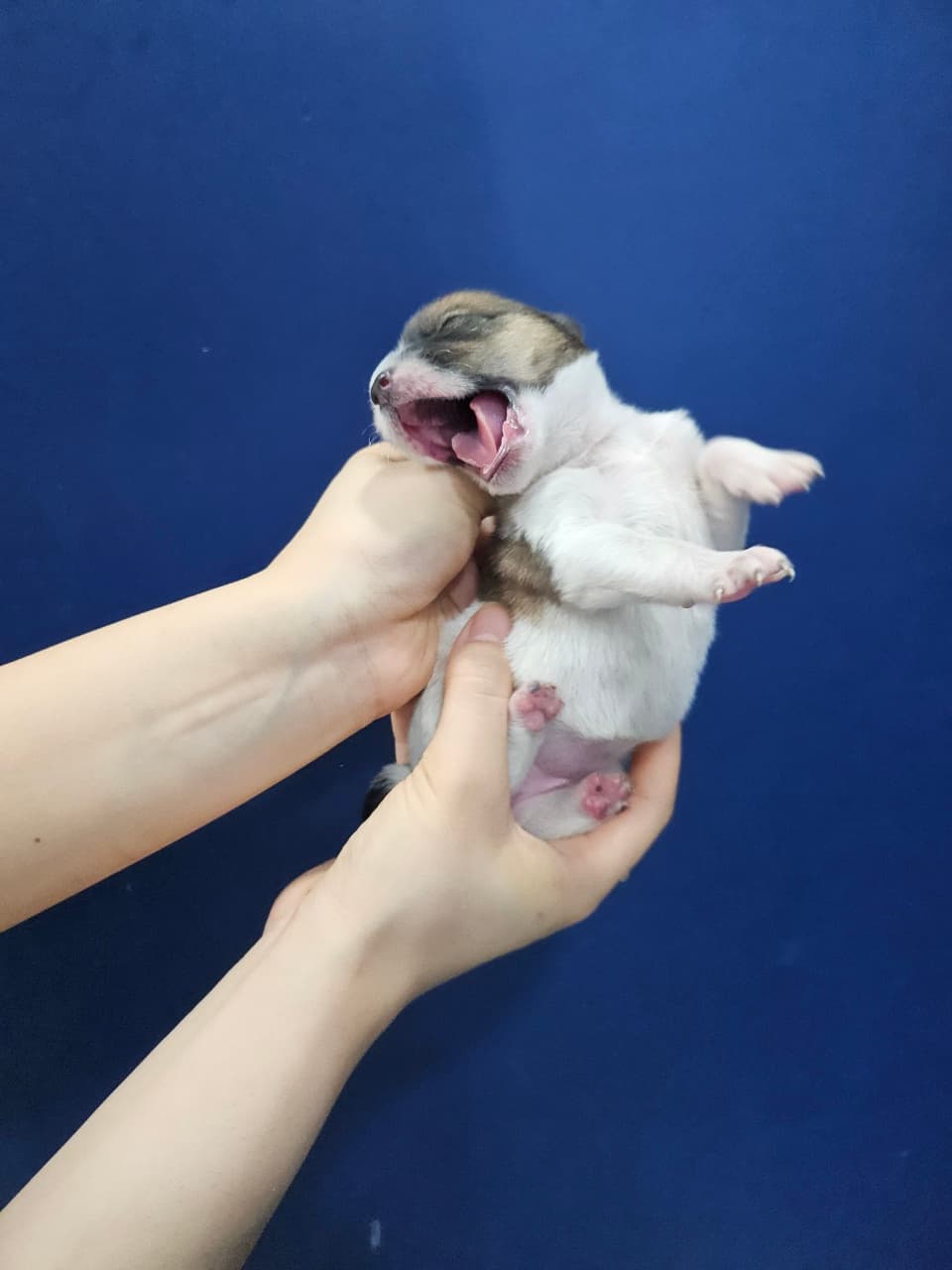 대구광역시 서구 000114 구조 사진