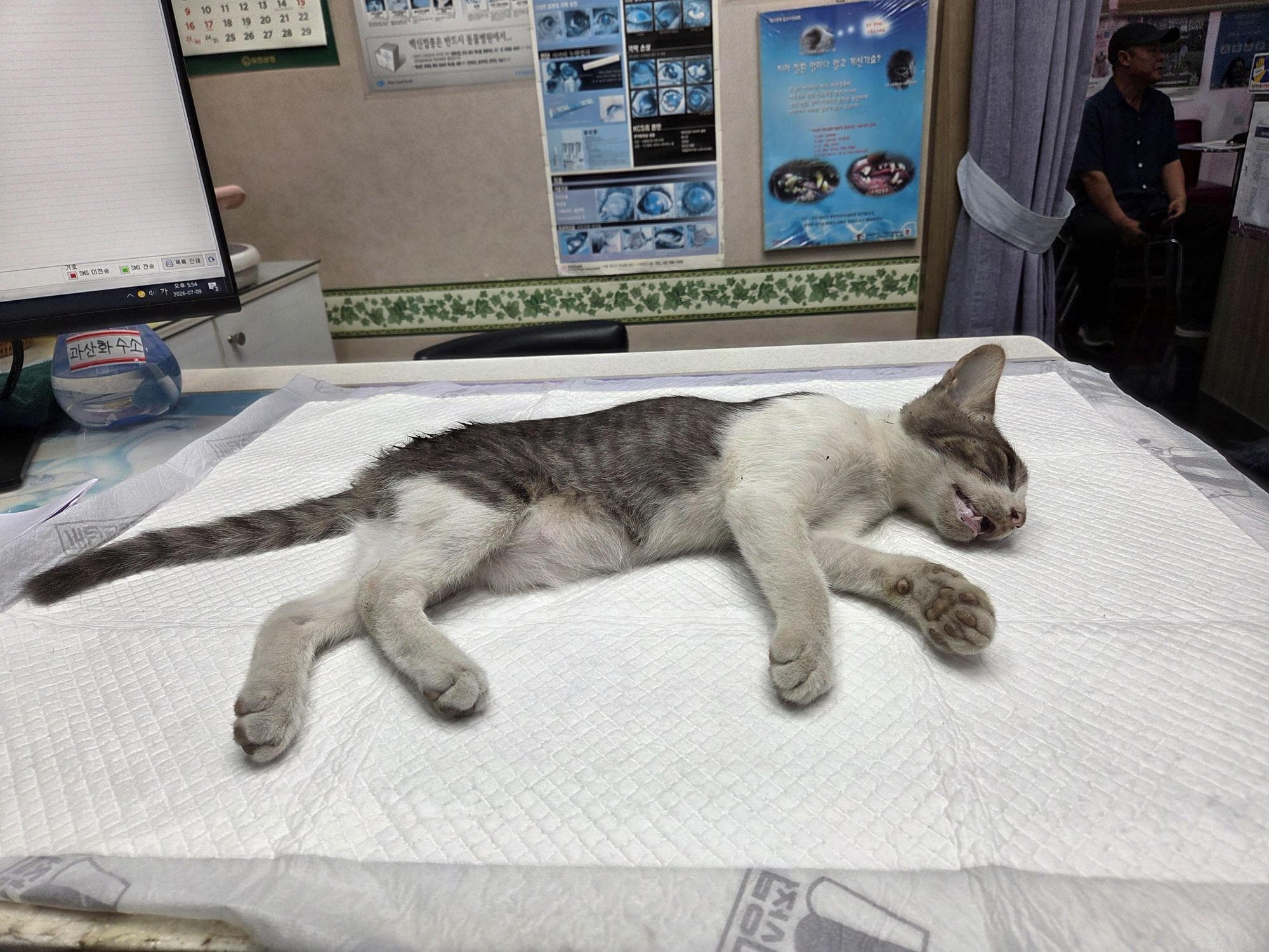 대구광역시 서구 000200 구조 사진