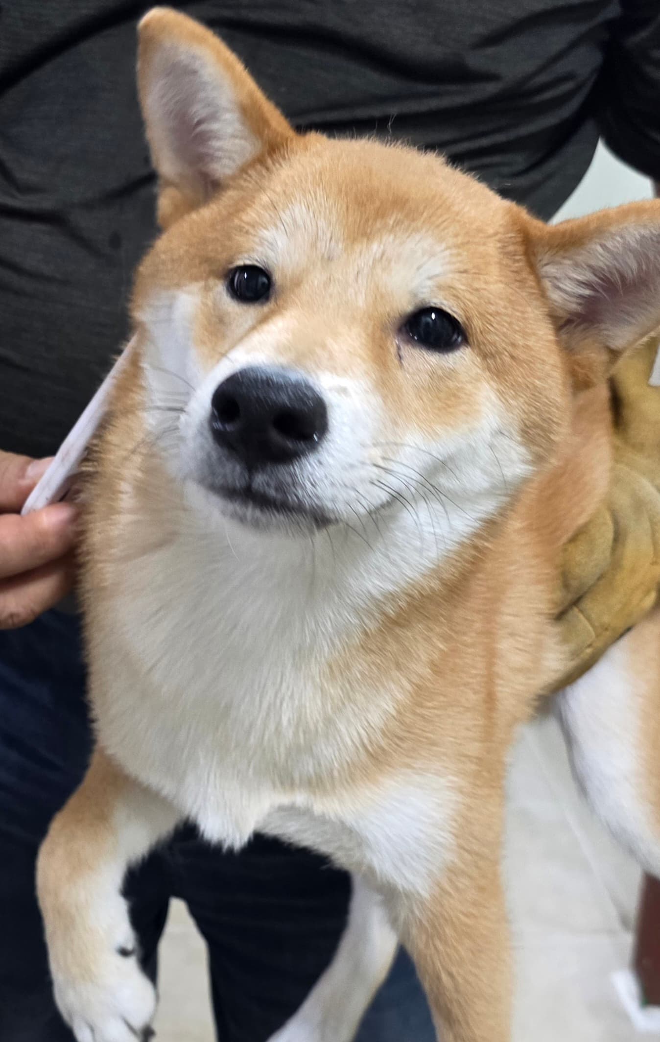 000100