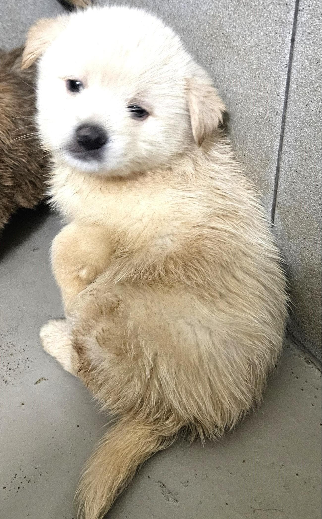 000114