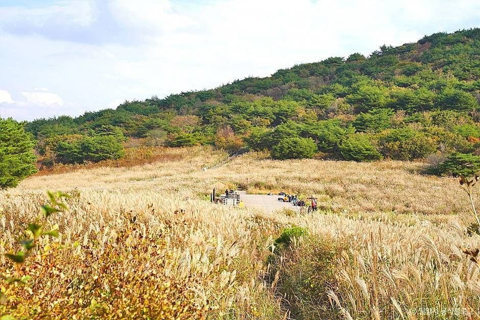 재약산
