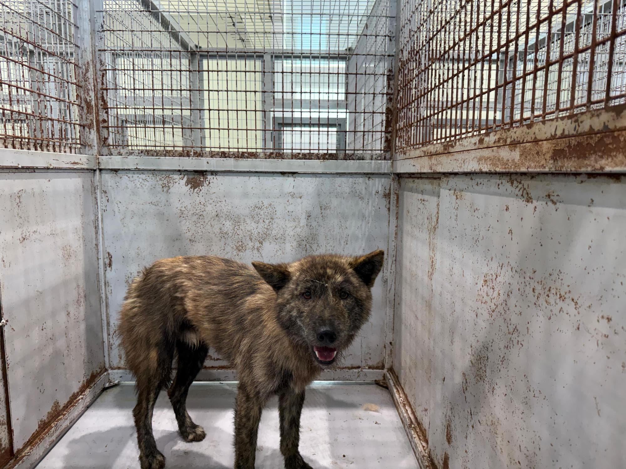 000114