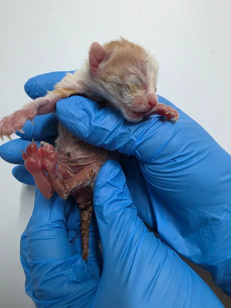 000200