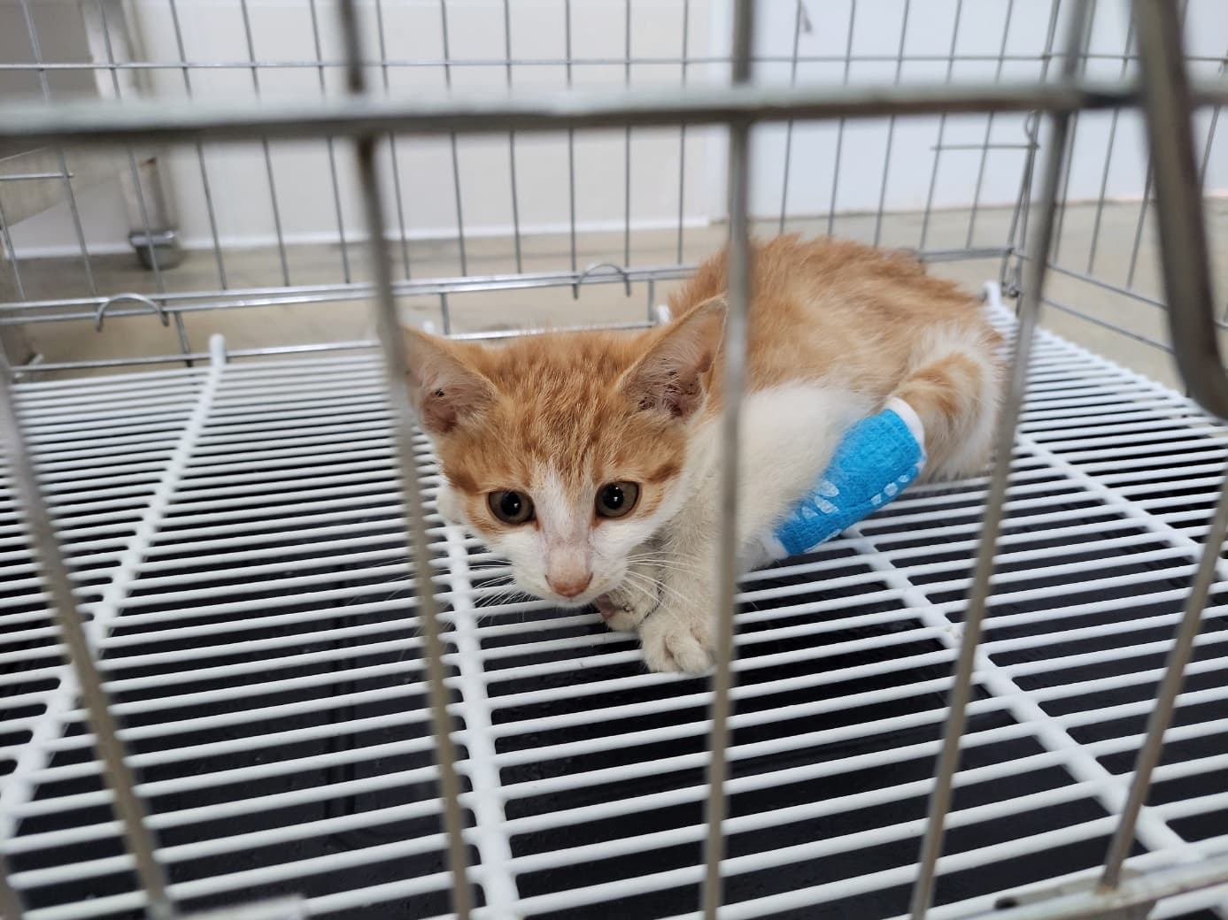 경기도 고양시 덕양구 000200 구조 사진