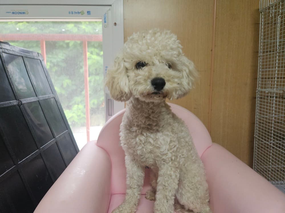 경상남도 창원시 성산구 000128 구조 사진