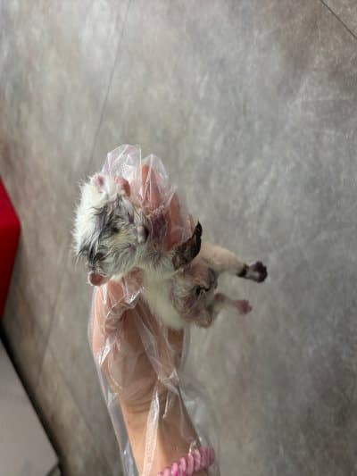 부산광역시 해운대구 000212 구조 사진