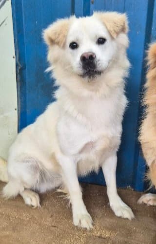 경상남도 함안군 000114 구조 사진