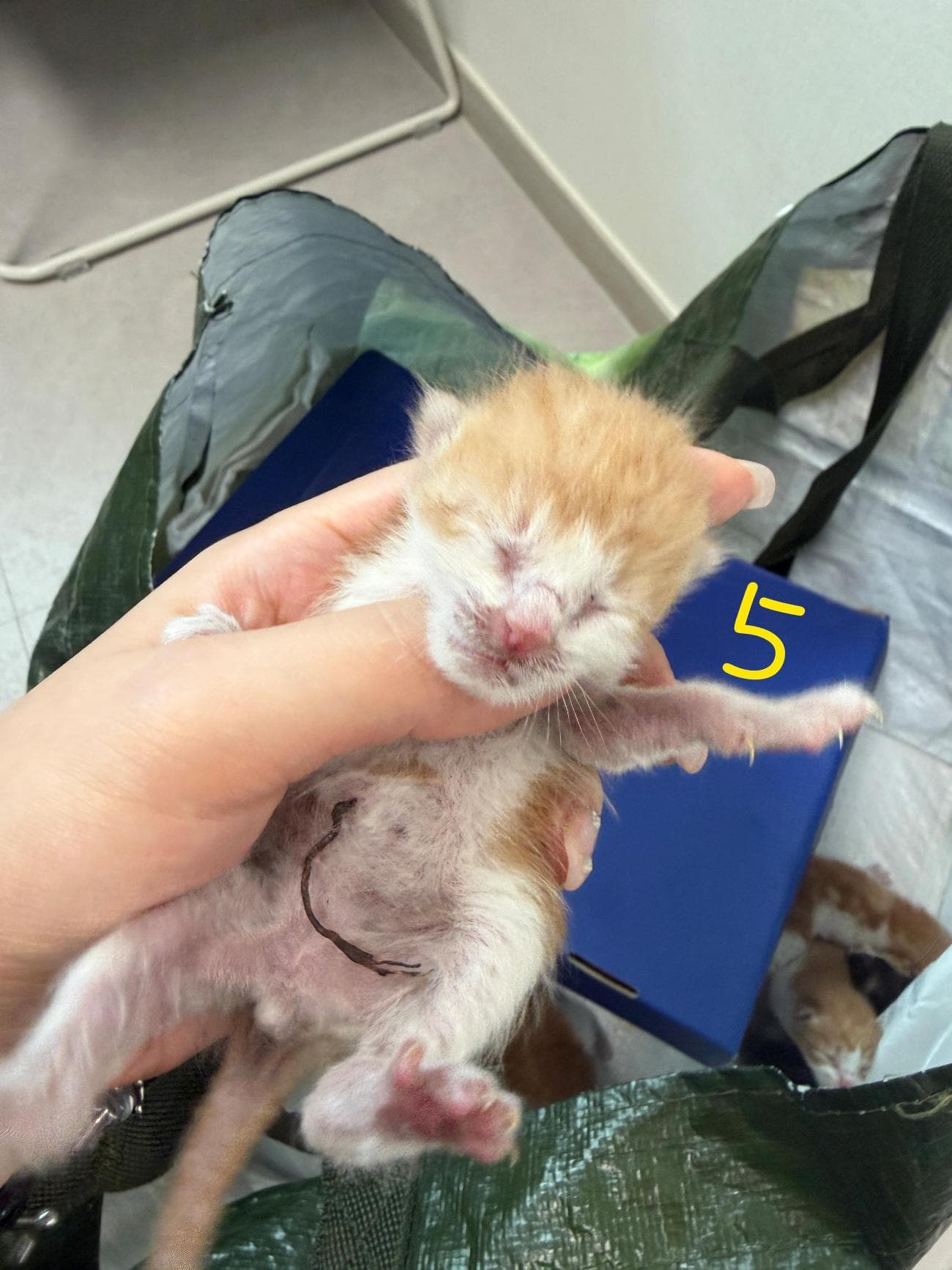 경기도 평택시 000200 구조 사진