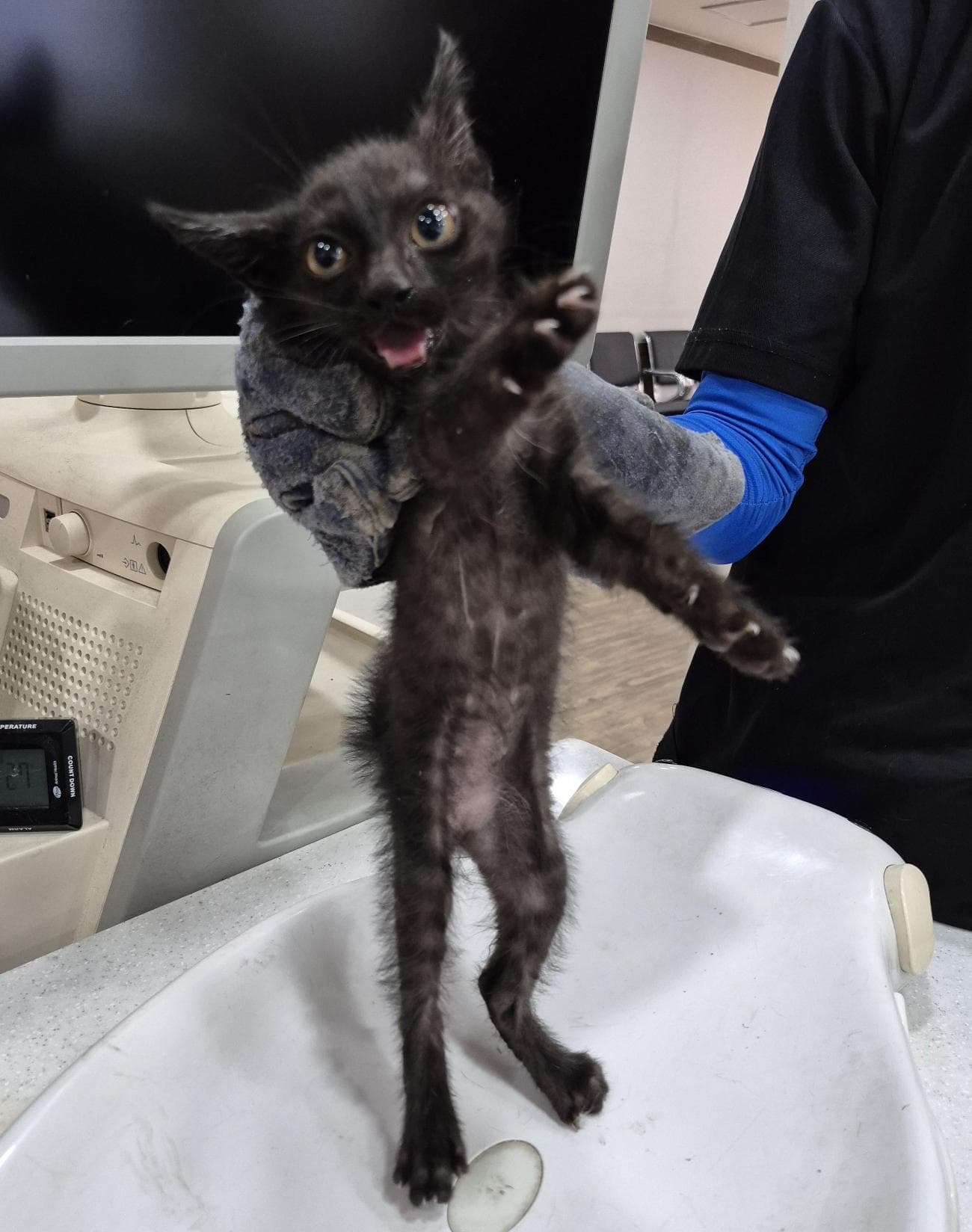 대구광역시 서구 000200 구조 사진