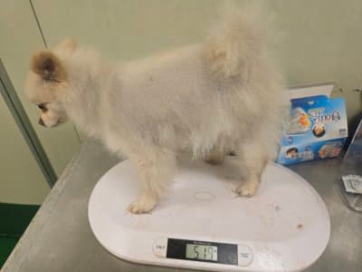 부산광역시 해운대구 000089 구조 사진