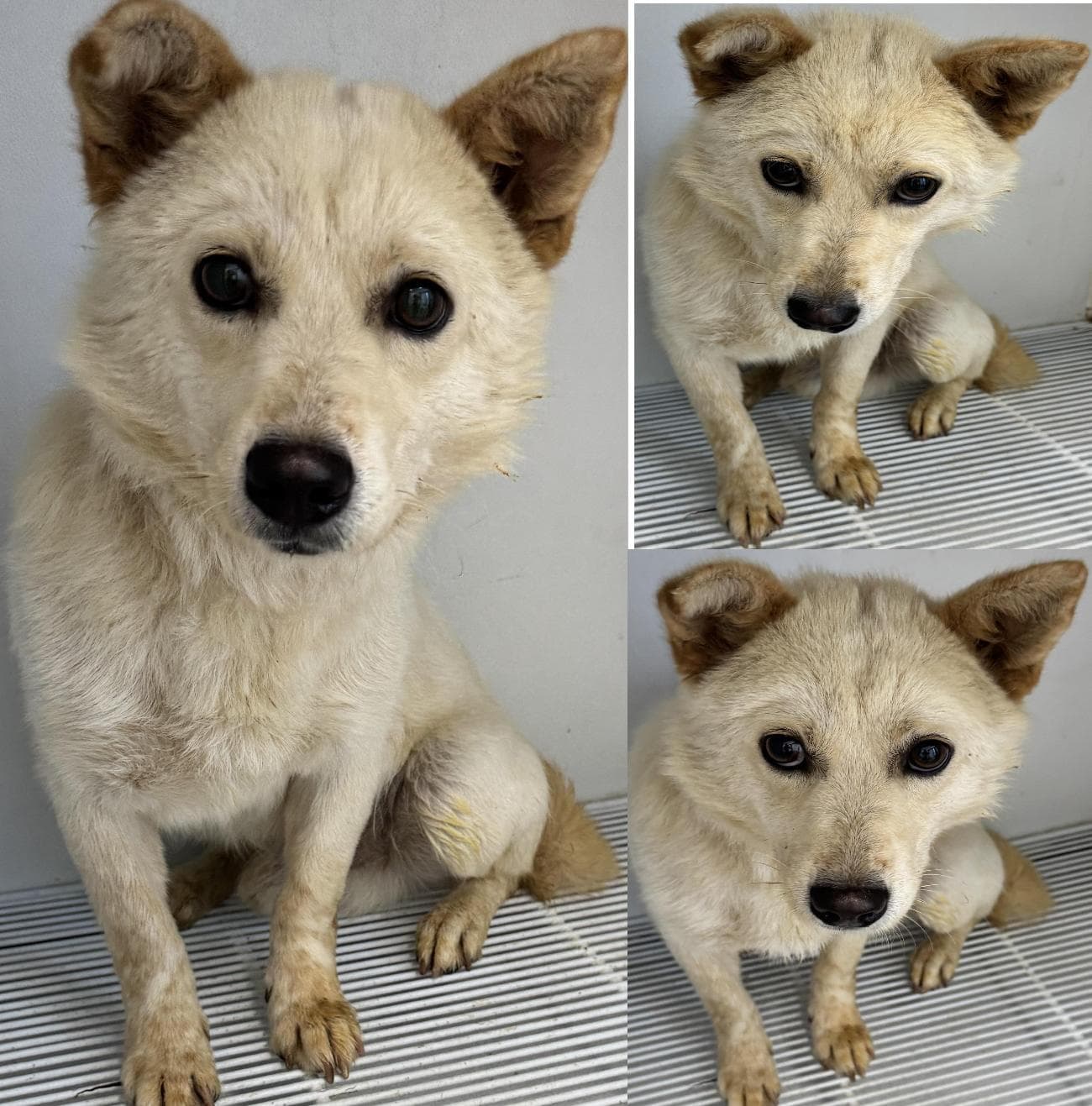충청남도 서산시 000114 구조 사진