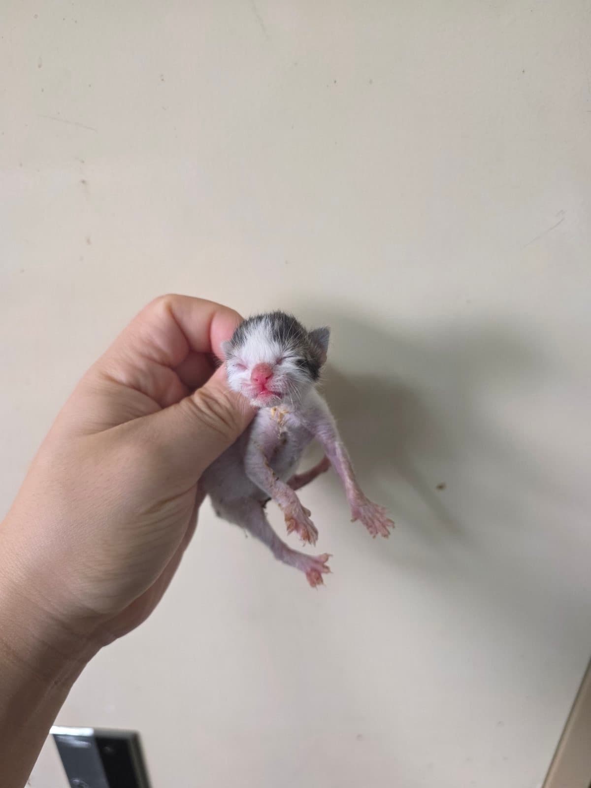 부산광역시 강서구 000200 구조 사진