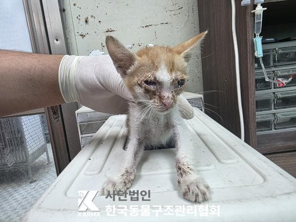 경기도 양주시 000200 구조 사진