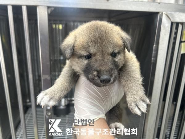 경기도 양주시 000114 구조 사진