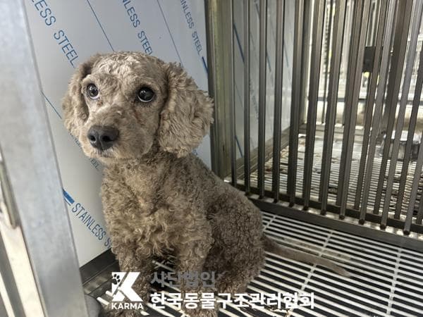 경기도 양주시 000128 구조 사진