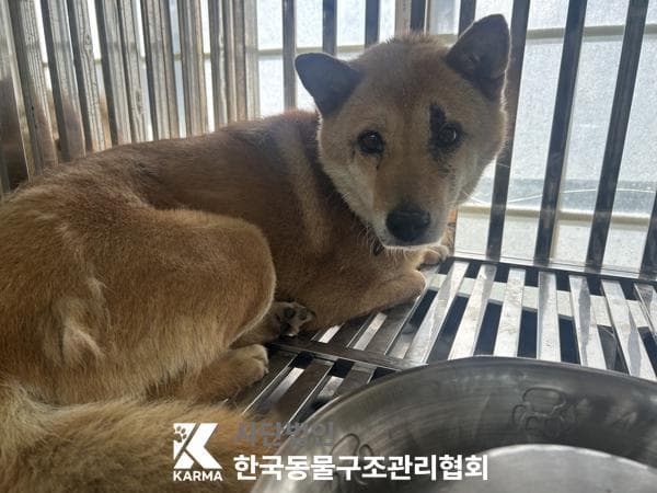 경기도 양주시 000114 구조 사진