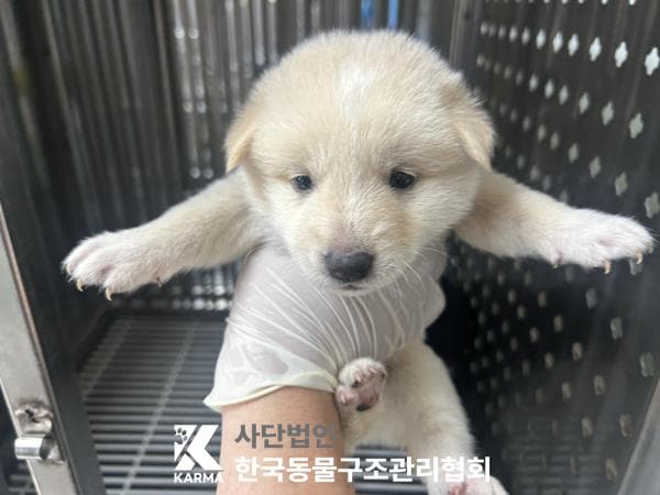 경기도 양주시 000114 구조 사진