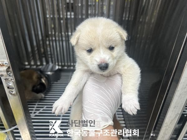경기도 양주시 000114 구조 사진
