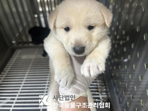 경기도 양주시 000114 구조 사진
