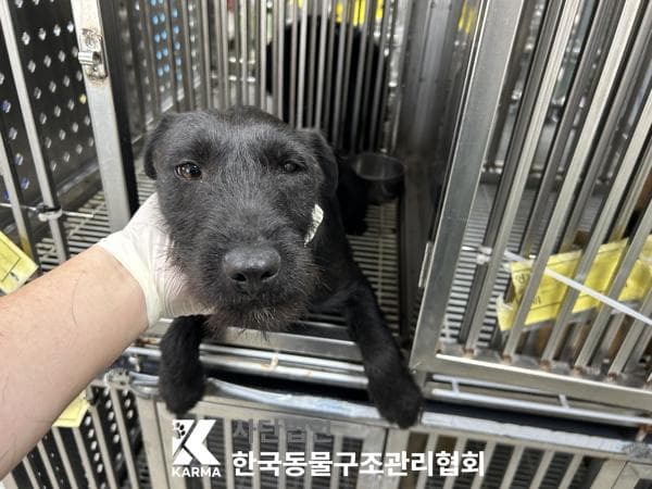 경기도 양주시 000114 구조 사진