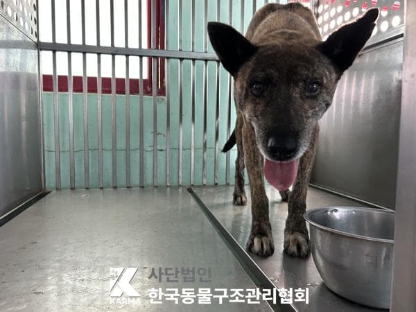 경기도 양주시 000114 구조 사진