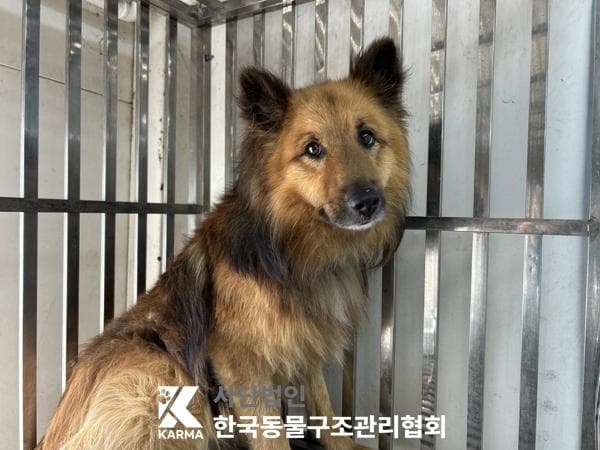 경기도 양주시 000114 구조 사진