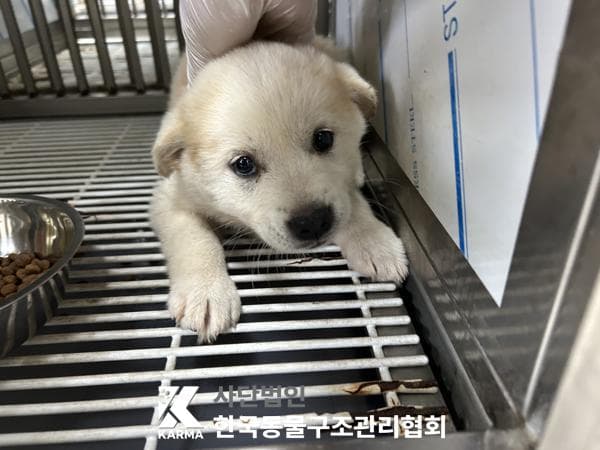 경기도 양주시 000114 구조 사진