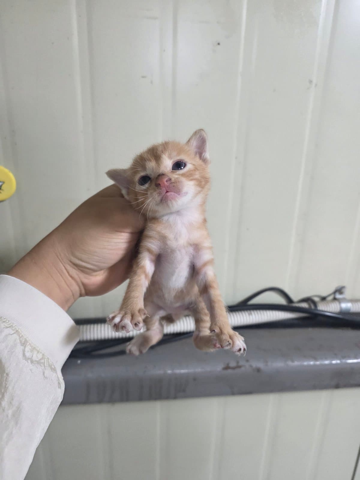 부산광역시 강서구 000200 구조 사진