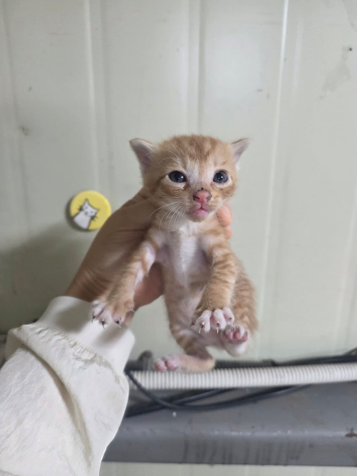부산광역시 강서구 000200 구조 사진