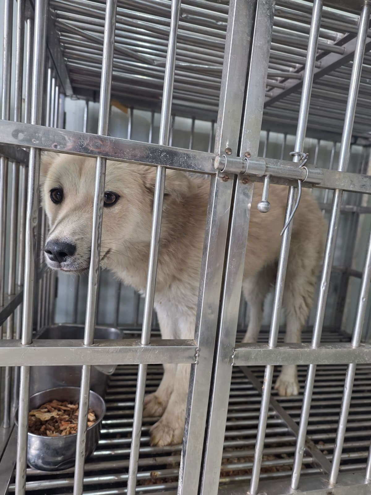 부산광역시 강서구 000114 구조 사진