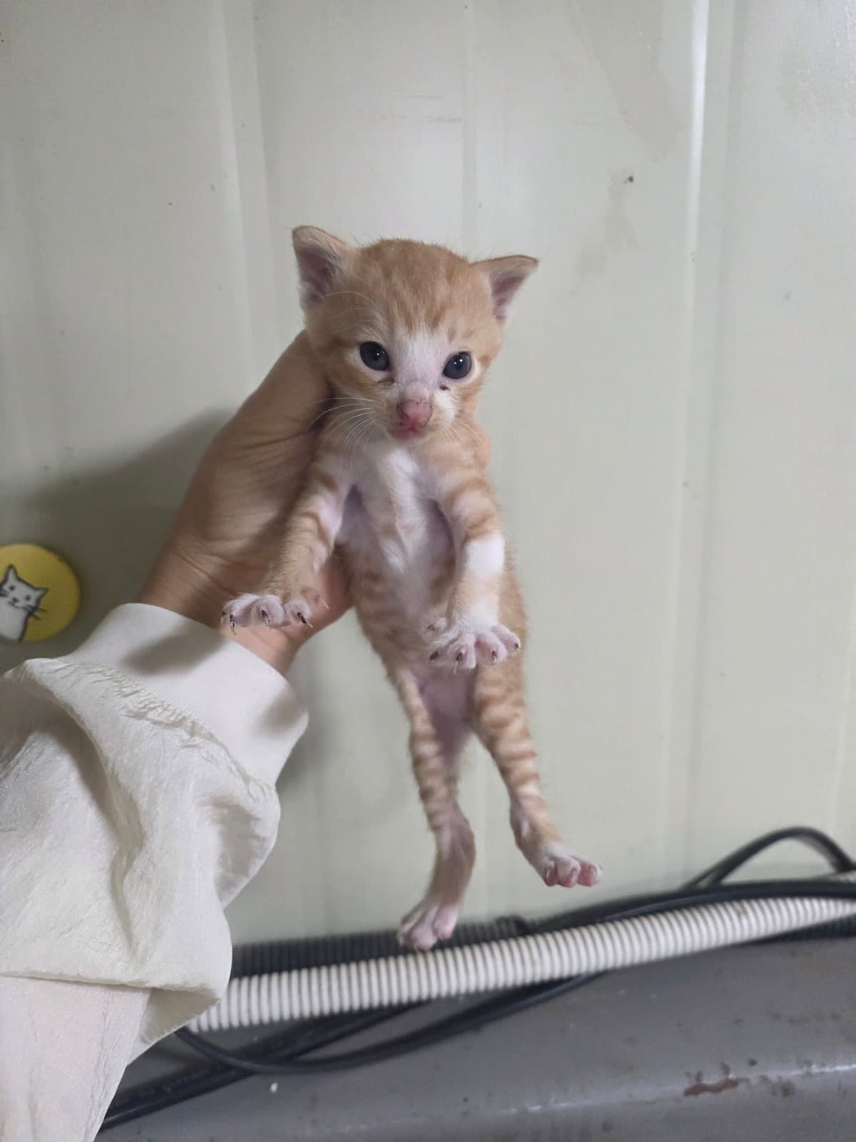 부산광역시 강서구 000200 구조 사진