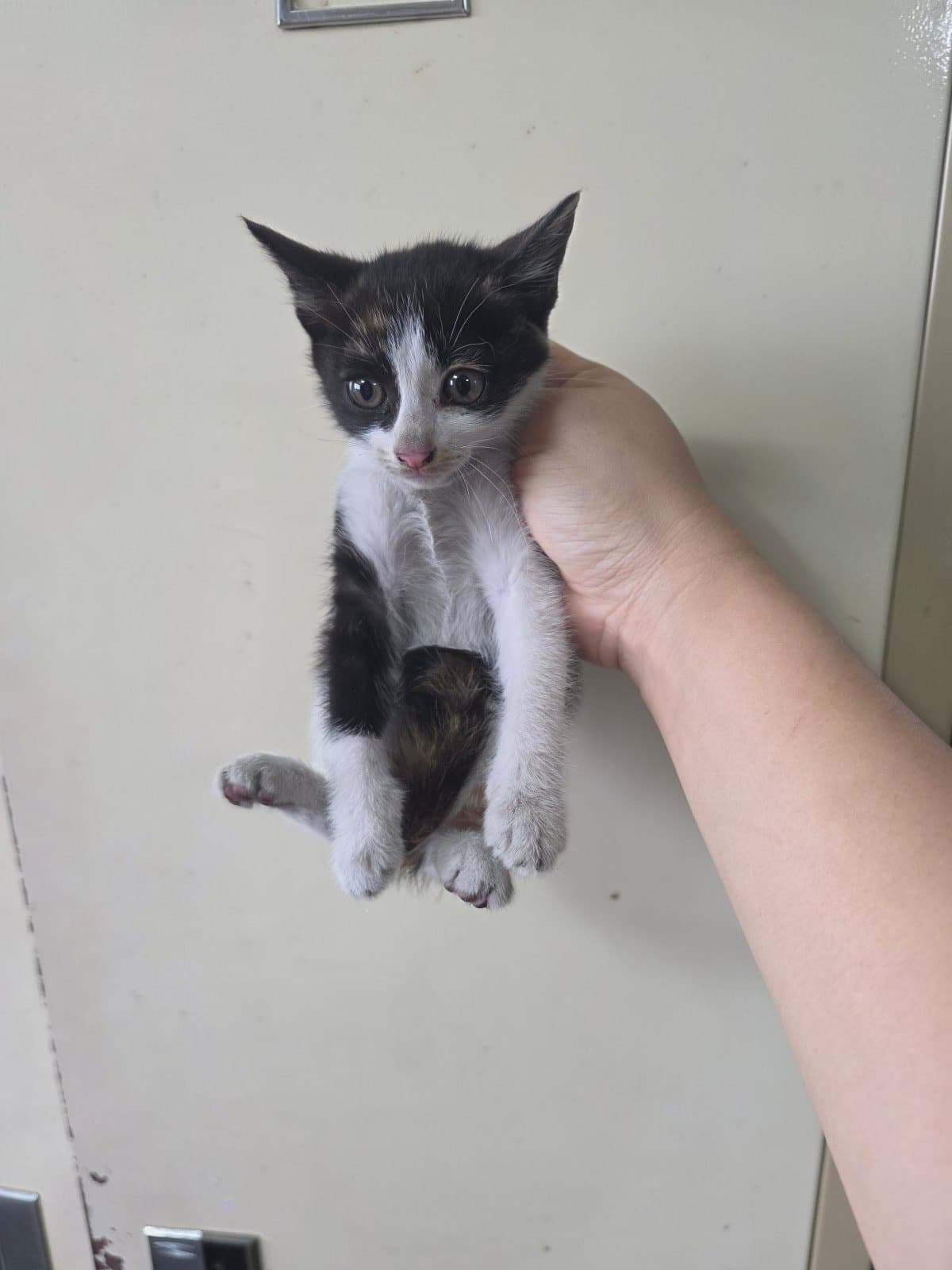 부산광역시 강서구 000200 구조 사진