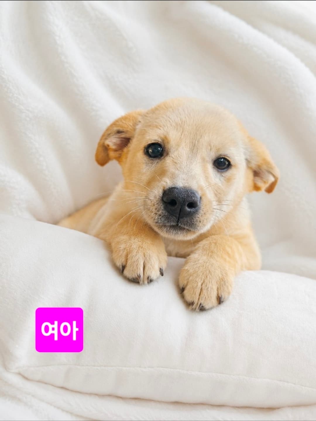 경상북도 안동시 000114 구조 사진