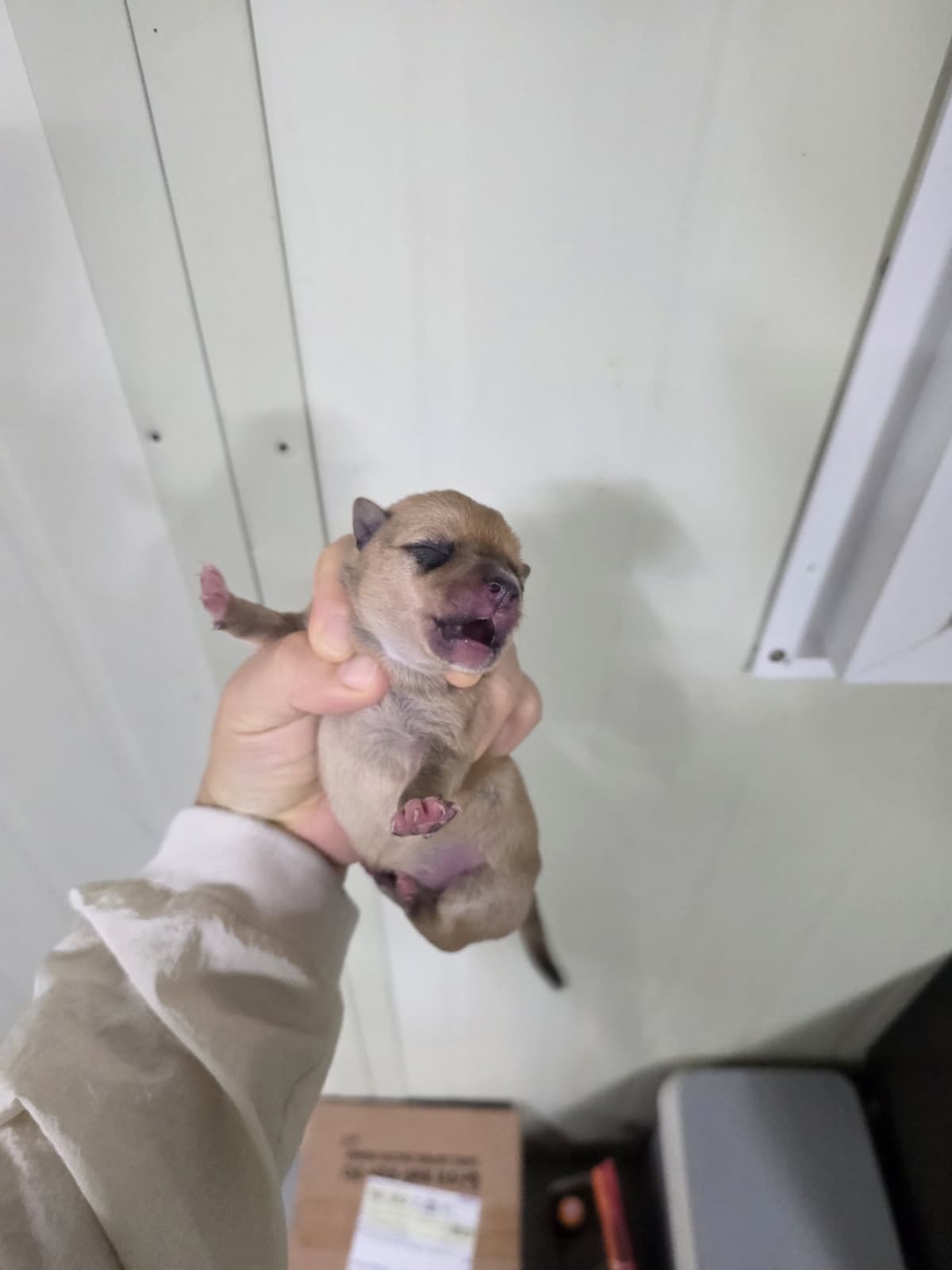 부산광역시 강서구 000114 구조 사진