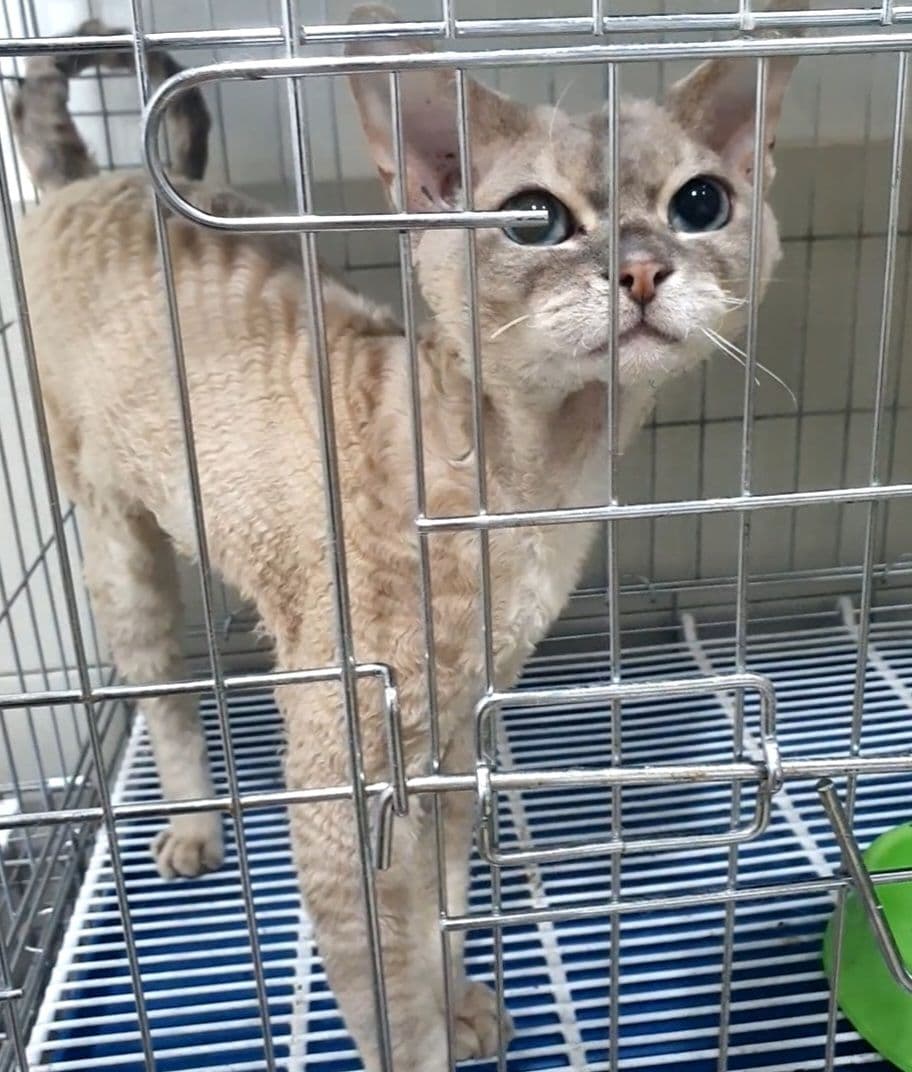 서울특별시 동작구 000171 구조 사진