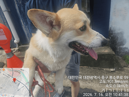 대전광역시 유성구 000114 구조 사진