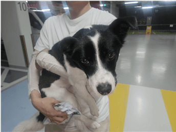 대전광역시 유성구 000114 구조 사진