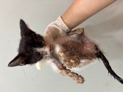 부산광역시 해운대구 000212 구조 사진