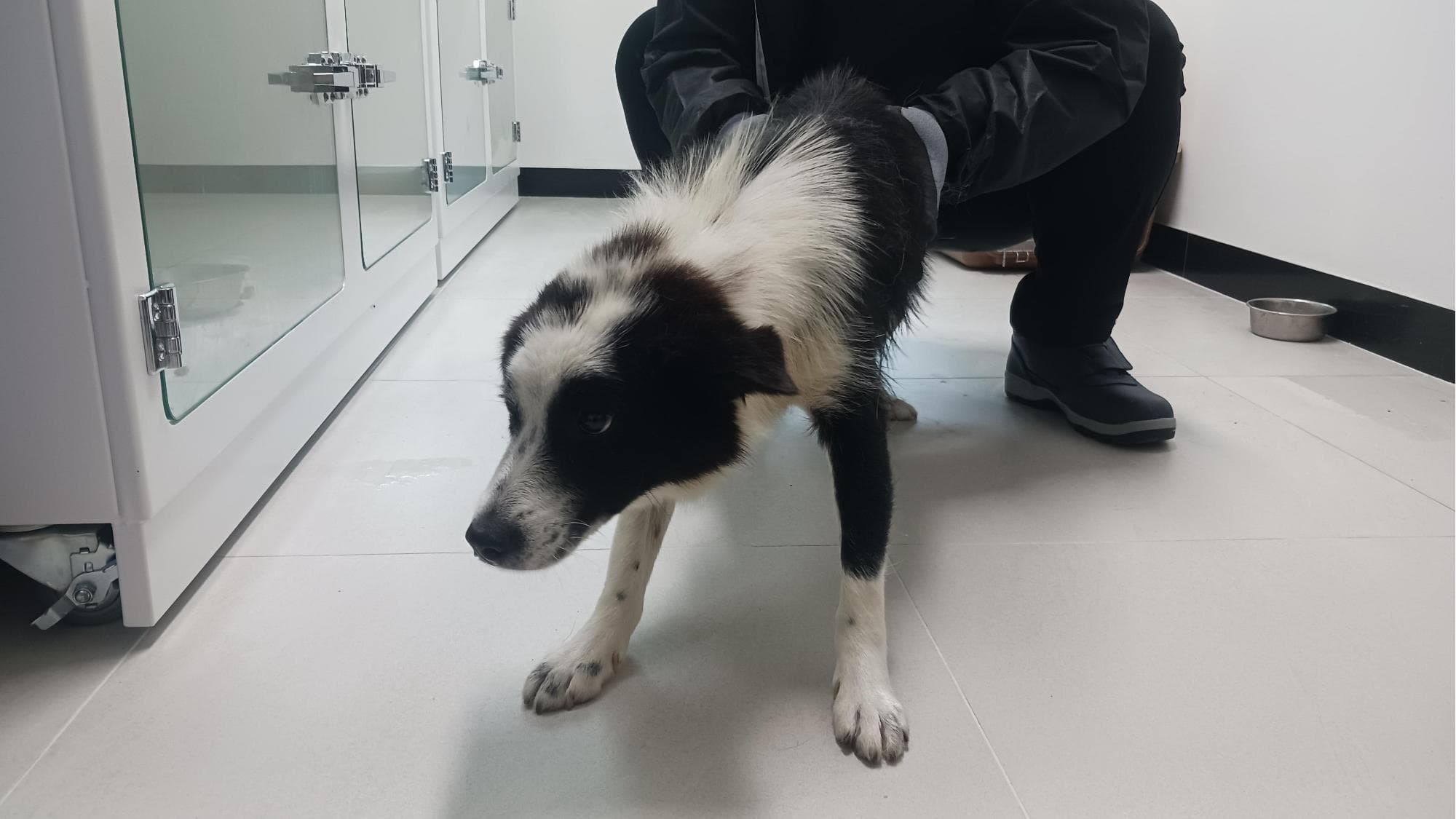 경상북도 상주시 000114 구조 사진