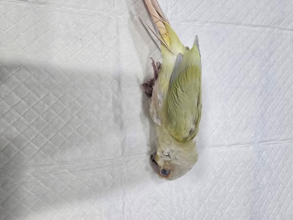 대구광역시 수성구 000117 구조 사진