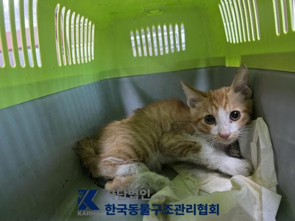 서울특별시 양주시 000200 구조 사진