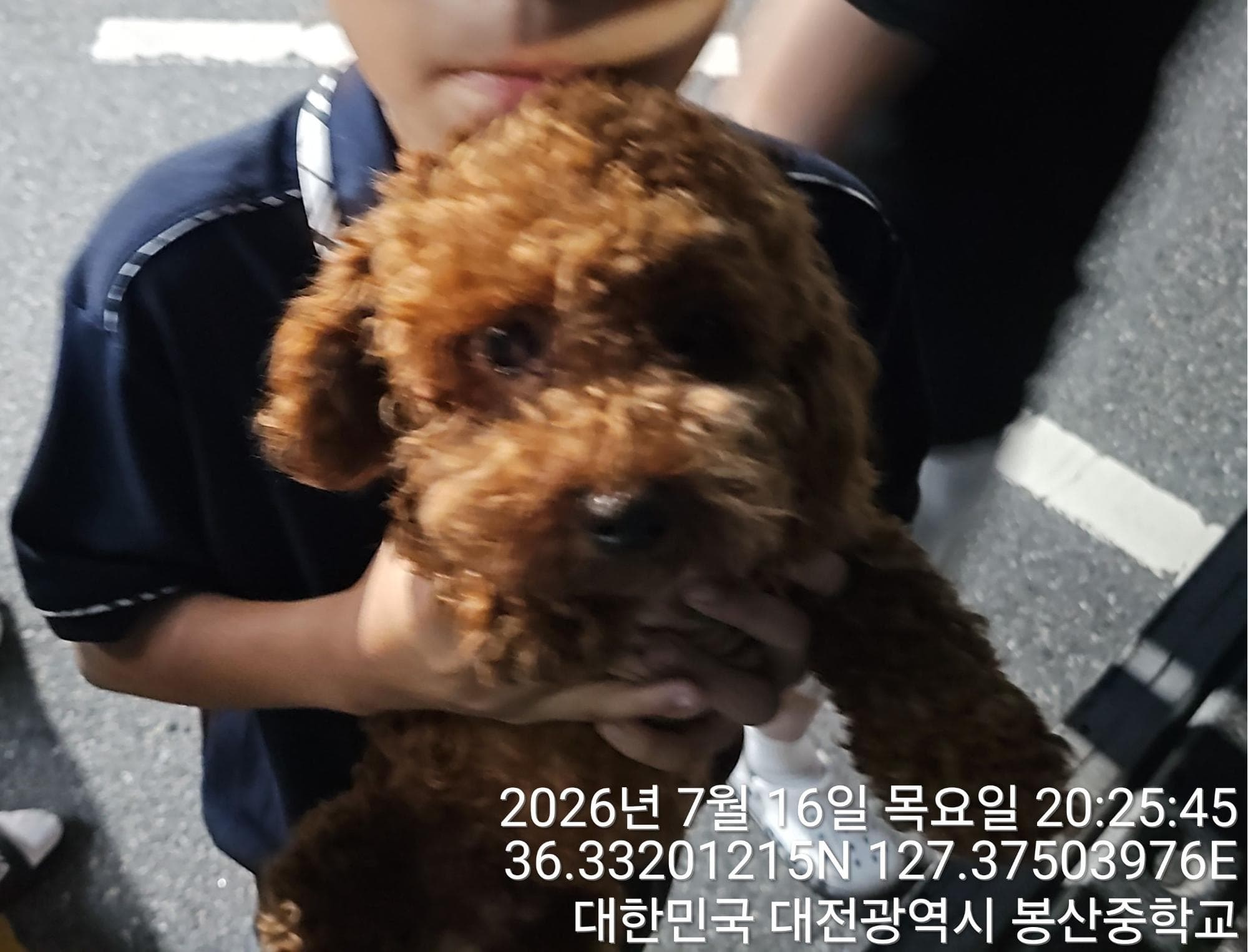 대전광역시 유성구 000128 구조 사진