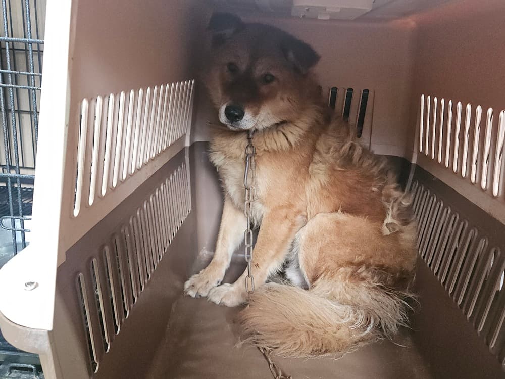 경상남도 창원시 성산구 000114 구조 사진
